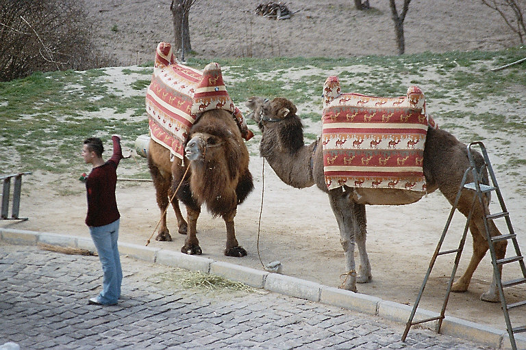 Felsenkirchen G&ouml;reme 24