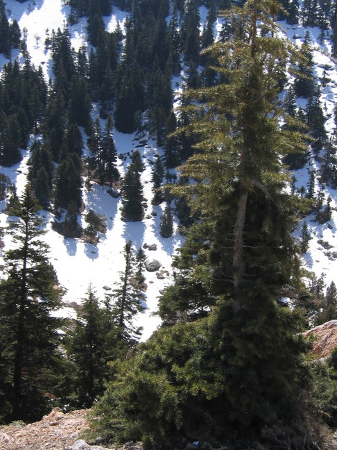 Taurus Gebirge Alacabel Pass 8