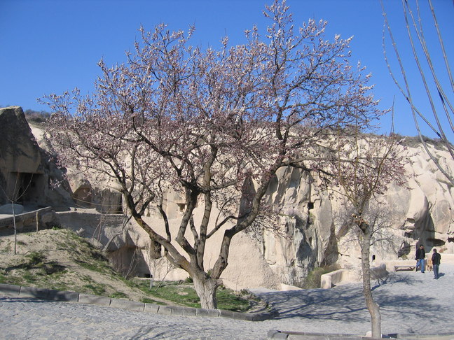 Felsenkirchen G&ouml;reme 10