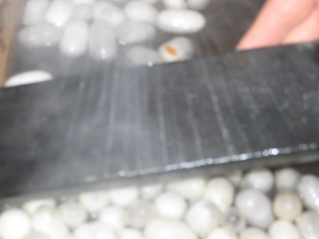 Tepichkn&uuml;pferei 9