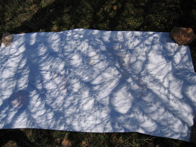 Camera Obscura Arbis 3