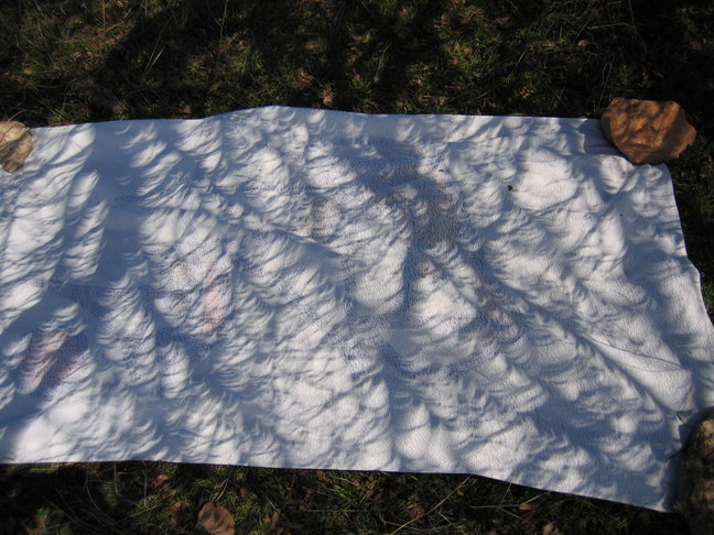 Camera Obscura Arbis 4