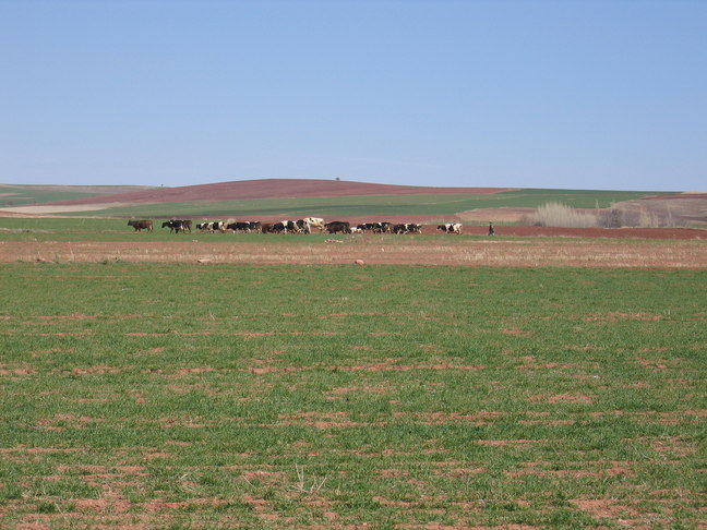 Hacibektas Sonnenfinsternis Beobachtungsplatz 19