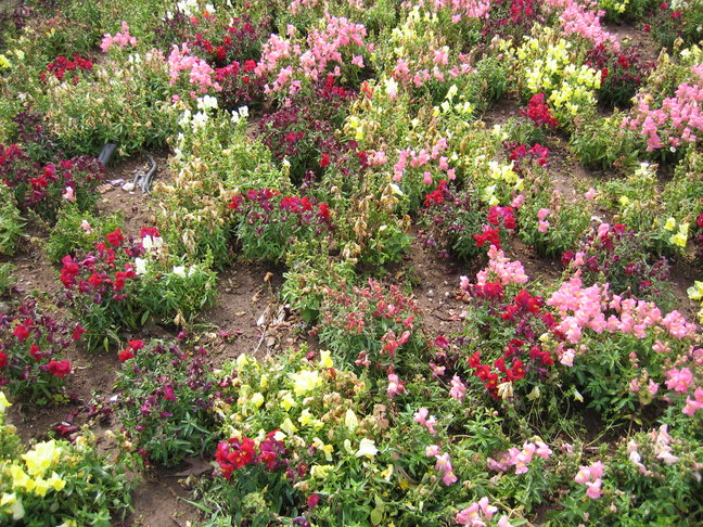 Antalya Gartenanlage 2
